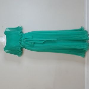 Vintage and Stunning Green Pleated Chiffon Maxi Dress Tagged Barbara Link